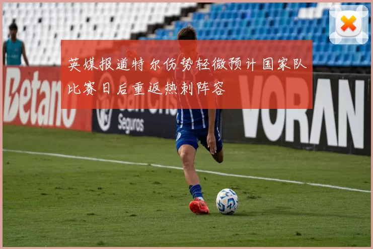 英媒报道特尔伤势轻微预计国家队比赛日后重返热刺阵容